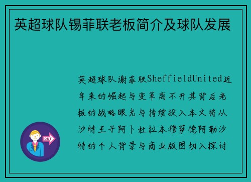 英超球队锡菲联老板简介及球队发展