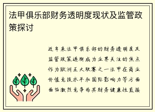 法甲俱乐部财务透明度现状及监管政策探讨