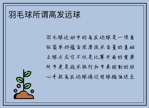 羽毛球所谓高发远球
